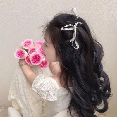 哈莱姆的郁金香